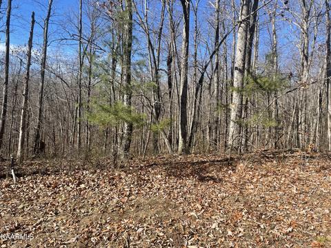 20 Pinney Pl, Monterey, TN 38574
