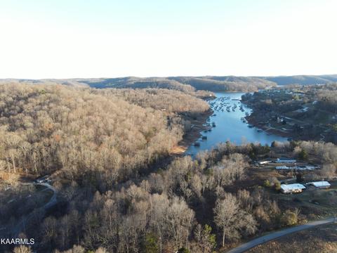 Springs Lane, La Follette, TN 37766