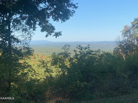 Lot 816 Fernwood Lane, Crab Orchard, TN 37723