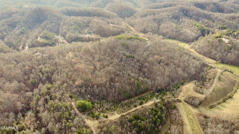 S Knob Creek Rd, Seymour, TN 37865