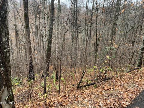 Lot 13 Emerald Springs Loop, Sevierville, TN 37862