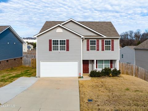 2016 Bluebonnet Dr, Mascot, TN 37806