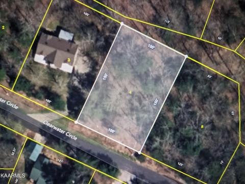 Clearwater Circle, Townsend, TN 37882