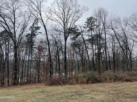 0 Millard Beets Rd, Knoxville, TN 37909