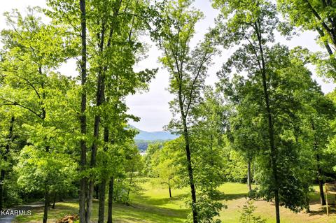 Lot 23r Sandy Ridge Rd, Dandridge, TN 37725