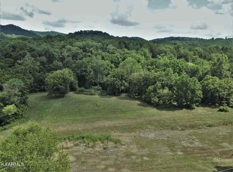 329 Bryan Rd, Rutledge, TN 37861 photo 1