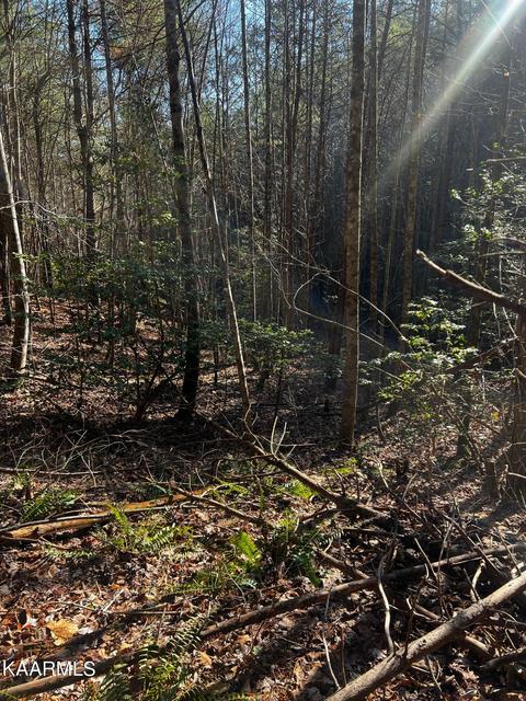 Raper Rd, Farner, TN 37333 photo 3