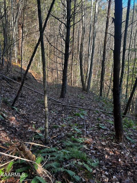 Raper Rd, Farner, TN 37333 photo 4
