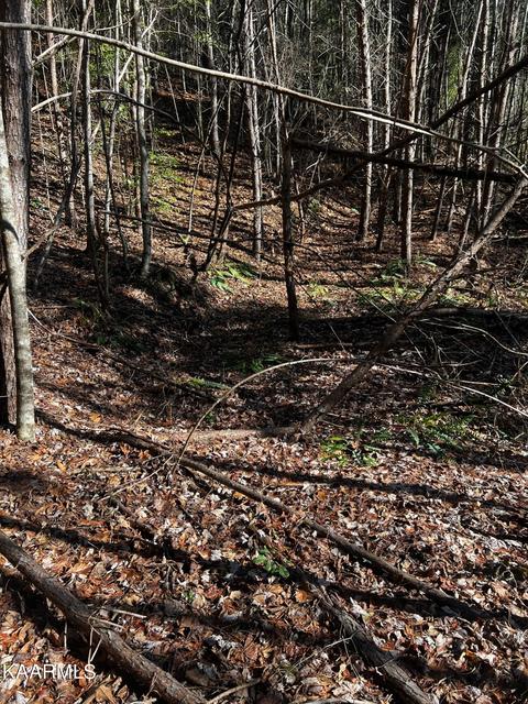 Raper Rd, Farner, TN 37333 photo 12