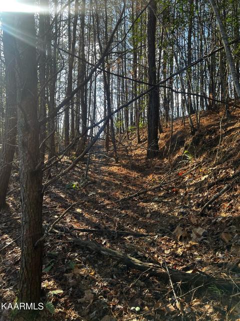 Raper Rd, Farner, TN 37333 photo 15