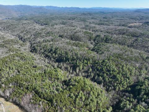 Raper Rd, Farner, TN 37333 photo 2