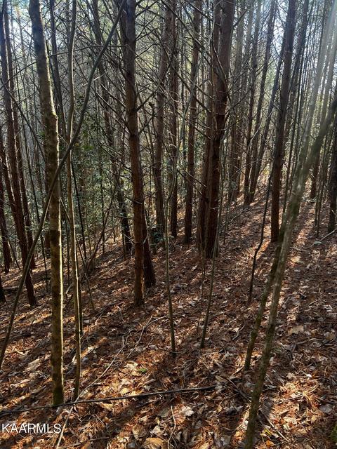 Raper Rd, Farner, TN 37333 photo 11