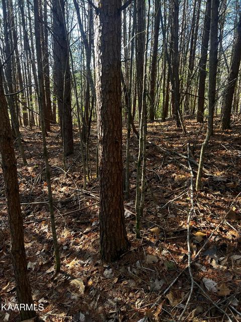 Raper Rd, Farner, TN 37333 photo 7