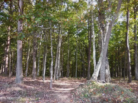 29 Grapevine Road, Crossville, TN 38572
