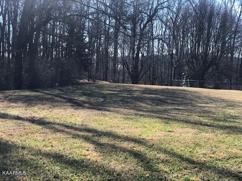 Clinch View Circle, Jefferson City, TN 37760