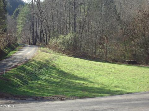 1010 Antioch Church Rd, Vonore, TN 37885