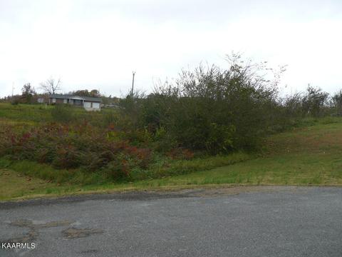 Jean Woods Circle, Tazewell, TN 37879