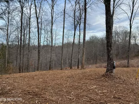 92 Lot Saddleridge Dr, Speedwell, TN 37870