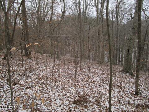Nicely Ridge Circle, Washburn, TN 37888