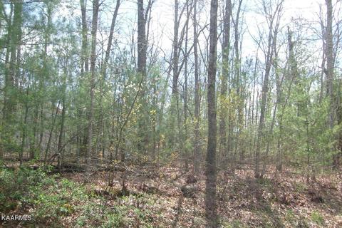 1001 Seneca Ct, Crossville, TN 38572