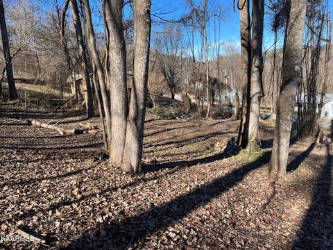 Breezeway Lane, Caryville, TN 37714