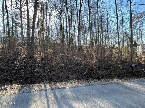 210 Rose Hill Ln, Rutledge, TN 37861
