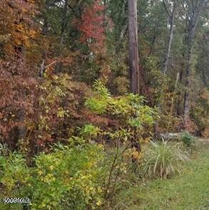 106 Jana Dr, Fairfield Glade, TN 38558