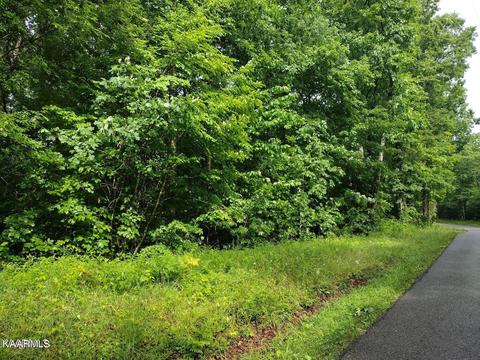 8 Pilot Mountain Road, Sunbright, TN 37872