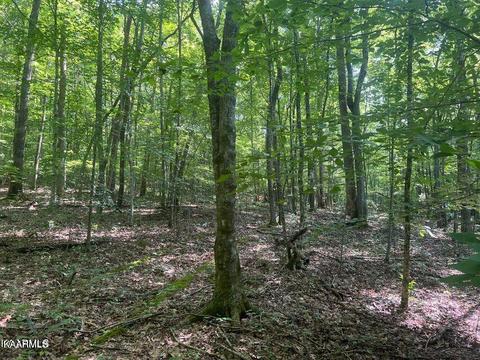 Hiwassee View Drive, Jacksboro, TN 37757