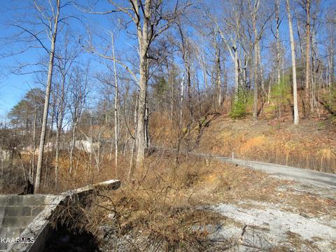 2320 Headrick Lead, Pigeon Forge, TN 37862