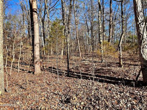 Lot 1 County Road 138, Athens, TN 37303