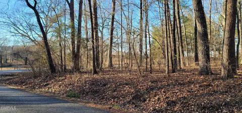 9 Mountain View Road, Benton, TN 37307
