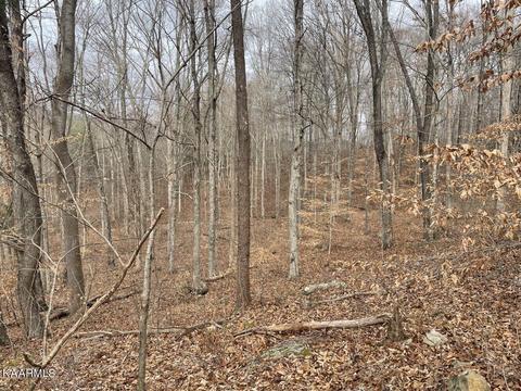 00 Mcmillian Rd, Rogersville, TN 37857