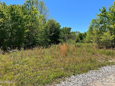 Lot F Mccartt Ridge Ln, Sunbright, TN 37872