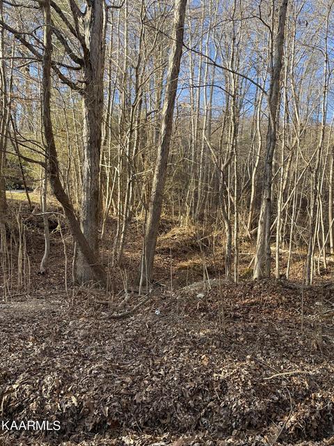 0 Norton Rd, Philadelphia, TN 37846