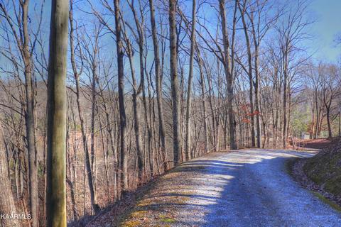 Lot 5 Ivy Way, Sevierville, TN 37876