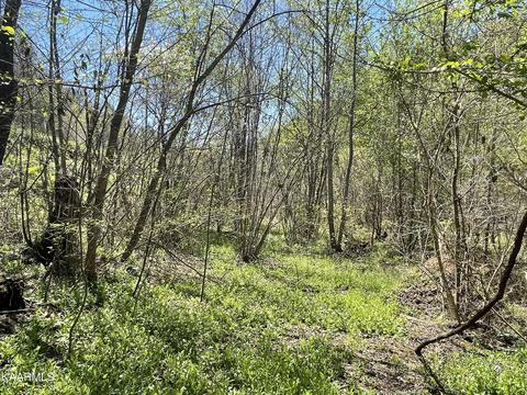 2 Cane Creek Mountain Rd, Tellico Plains, TN 37385