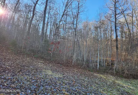 lot129 Suncrest Cv, La Follette, TN 37766