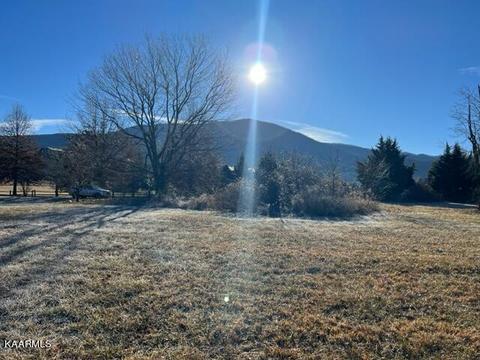 10 Cove Meadows Drive, Sevierville, TN 37862