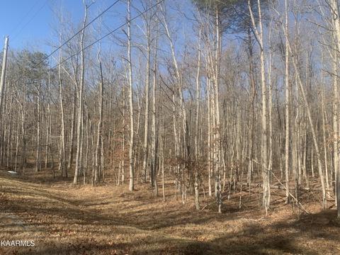 Goodson Tr, Monterey, TN 38574