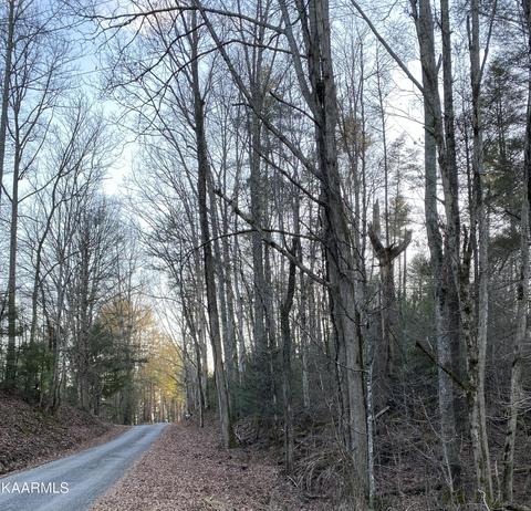 309 Nichols Branch Rd, Tellico Plains, TN 37385