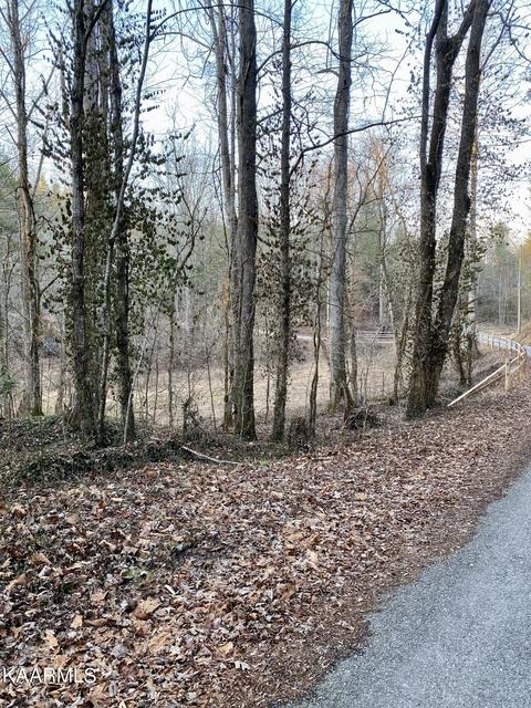0 Nichols Branch Rd, Tellico Plains, TN 37385