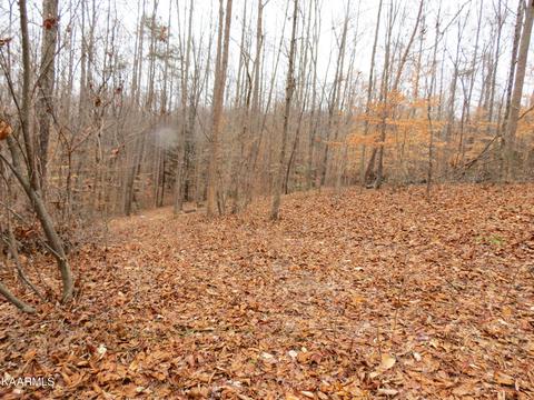 765 S South High Knob Rd, La Follette, TN 37766