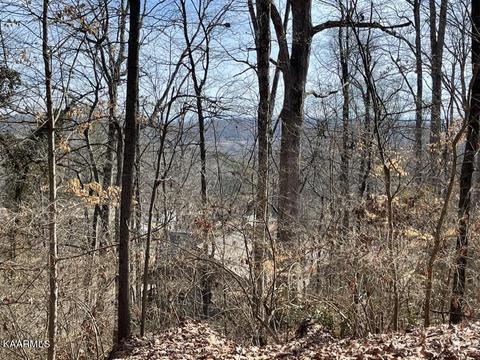 1753 Kemper Ln, Knoxville, TN 37920