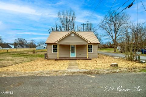 214 Grace Ave, Baxter, TN 38544 photo 1