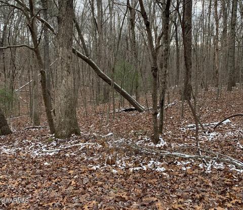 166 Brambleton Dr, Crossville, TN 38558