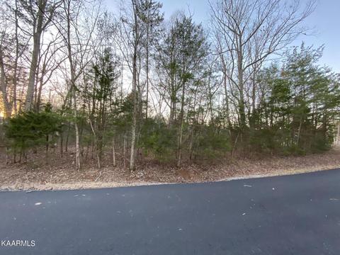 404 Elohi Pl, Loudon, TN 37774