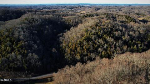 Jackson Hollow Rd, Mosheim, TN 37818
