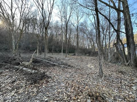 Sulphur Springs Rd, Clinton, TN 37716