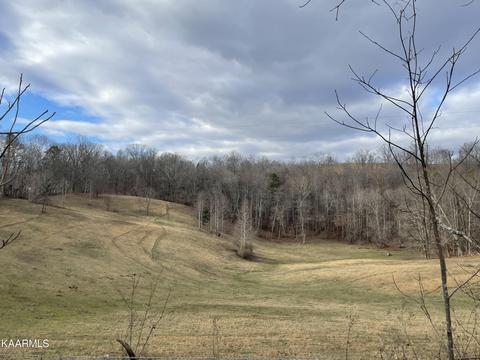 Off Of Country Oaks Lane, La Follette, TN 37766